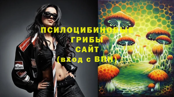 гашик Остров