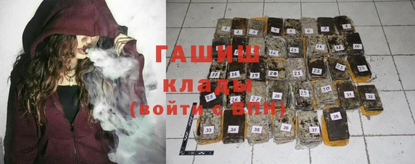 хмурый Осинники